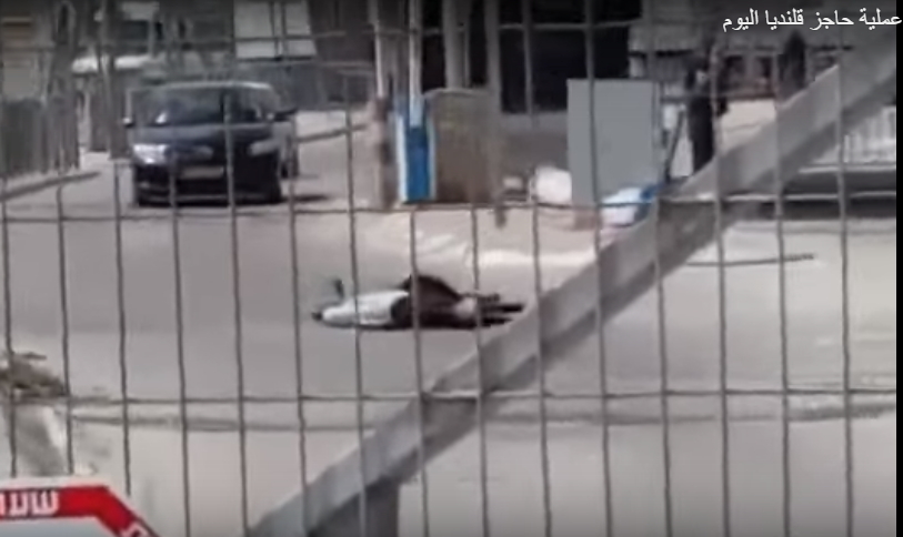 فيديو: استشهاد شاب وفتاة برصاص الاحتلال على حاجز قلنديا بزعم محاولة طعن بعد أن امطرهما الاحتلال بـ أكثر من 15 عشر رصاصة 